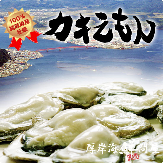 100%純厚岸産牡蠣 カキえもん